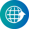 icon-service-mob