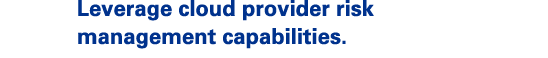Leverage cloud provider risk management capabilities.