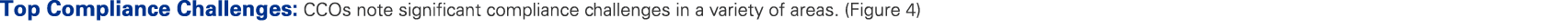 Top Compliance Challenges: CCOs note significant compliance challenges in a variety of areas. (Figure 4) 