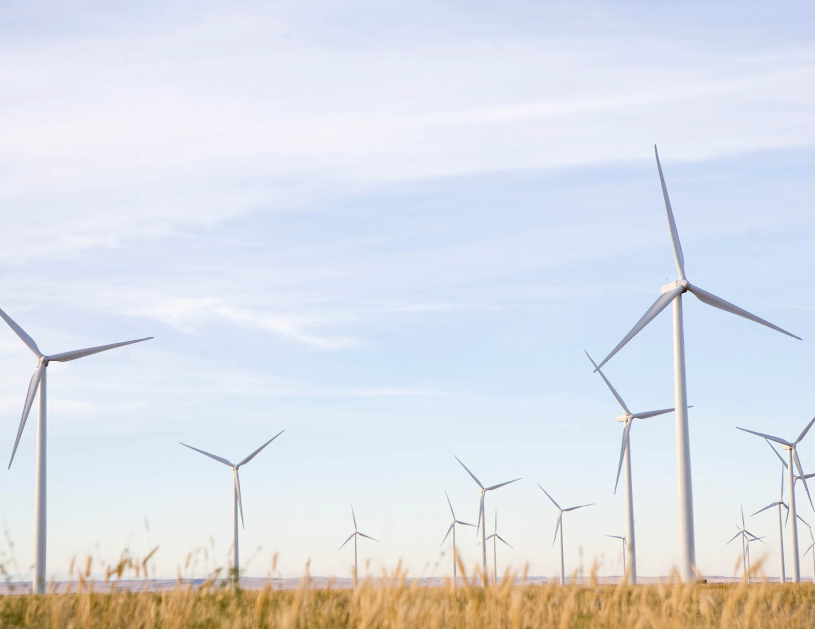 A group of wind turbines in a field 